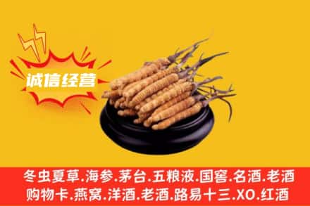 梧州龙圩区回收冬虫夏草
